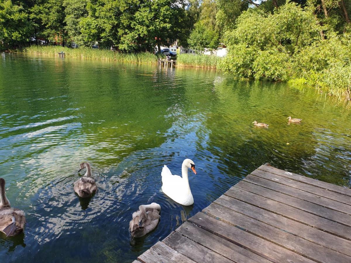 Domki W Sadzie - Gosciniec Lech Kosewo  Exterior foto