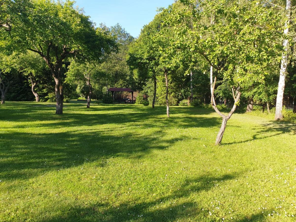 Domki W Sadzie - Gosciniec Lech Kosewo  Exterior foto